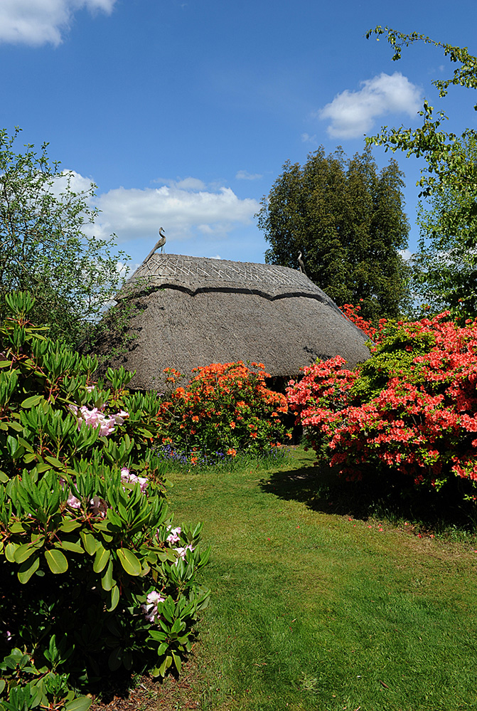 Furzey Gardens New Forest Thatch and Spring Colour 2